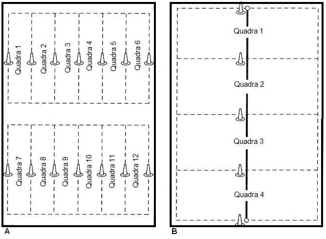 Figura 2 - (A) Divisão do ginásio para jogos de rede e (B) Arranjo da rede longitudinal Fonte: Mitchell, Oslin e Griffin (1997).